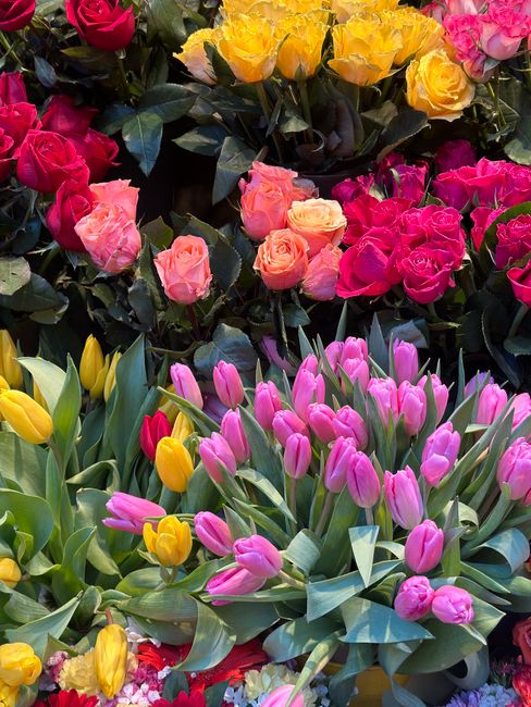 A vibrant display of fresh flowers, featuring pink and yellow tulips with smooth petals and green stems in the foreground. Behind them, there are clusters of pink, peach, and yellow roses with lush gr